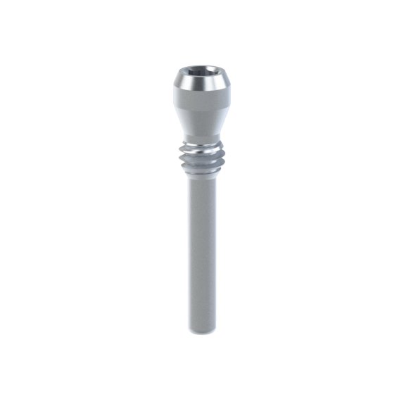 Anthogyr® Axiom® BL compatible Titanium Removal Screw
