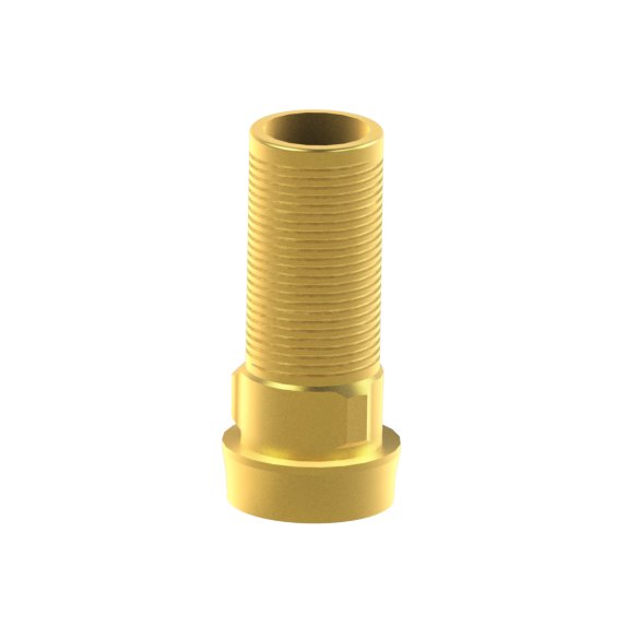 BTI® Externa compatible Custom Ti-Base