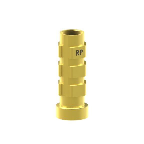 BTI® Externa compatible Abutment Temporary