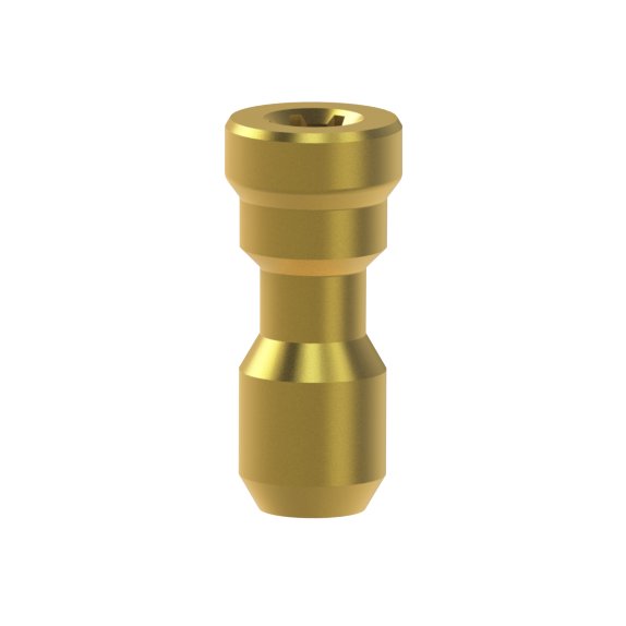 Nobel Biocare® Branemark System® compatible Titanium Screw Custom Interface
