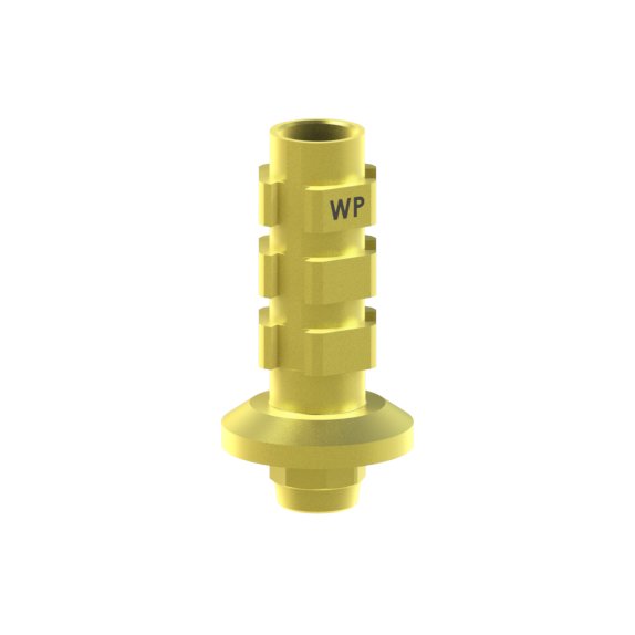 Straumann® Tissue Level® compatible Abutment Temporary WN