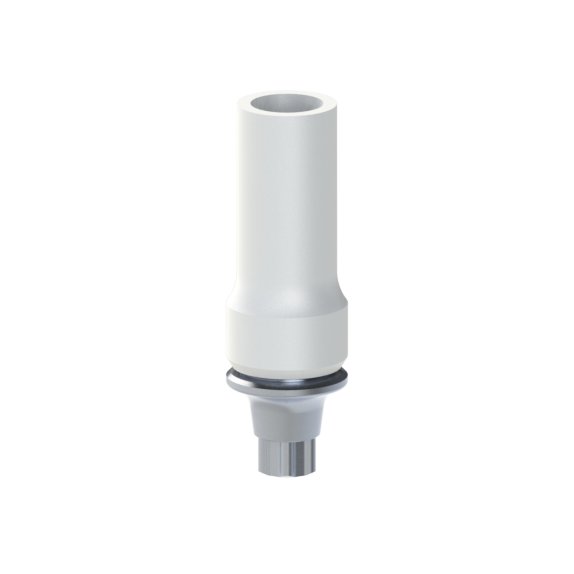 Straumann® BLX® compatible Castable CoCr Straight /WB