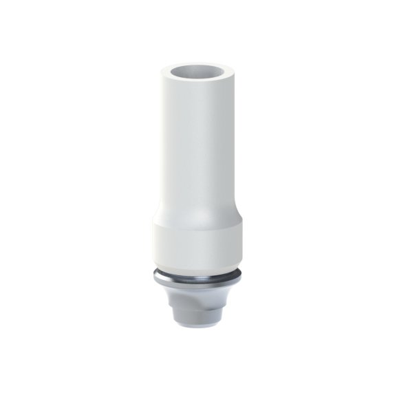 Straumann® BLX® compatible Castable CoCr Straight /WB