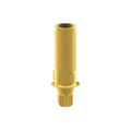 Astra® Evolution® compatible Custom Ti-Base
