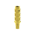 Astra® Evolution® compatible Abutment Temporary