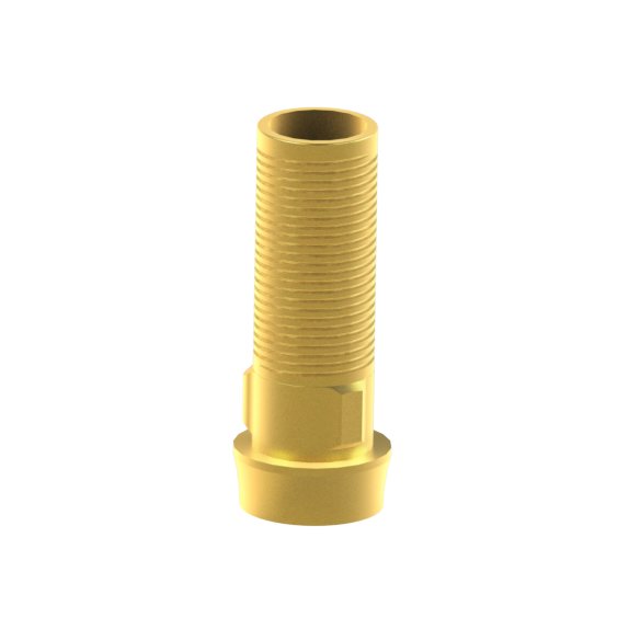 BTI® Externa compatible Custom Ti-Base