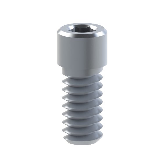 BTI® Externa compatible Titanium Screw