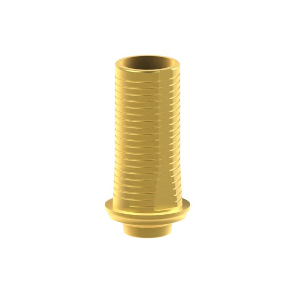 BTI® Interna compatible Custom Ti-Base