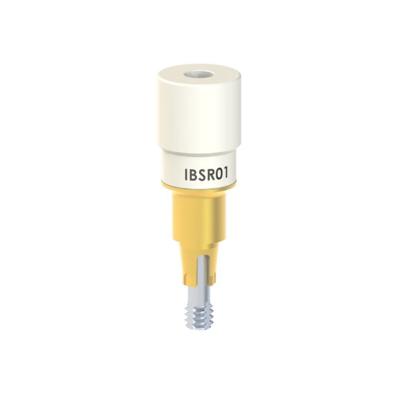 Dentsply® Ankylos® compatible Scan Body