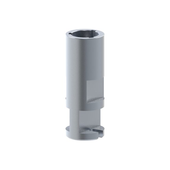 Camlog® Camlog® System compatible IPDmilled Analog CAM 5.La5.060