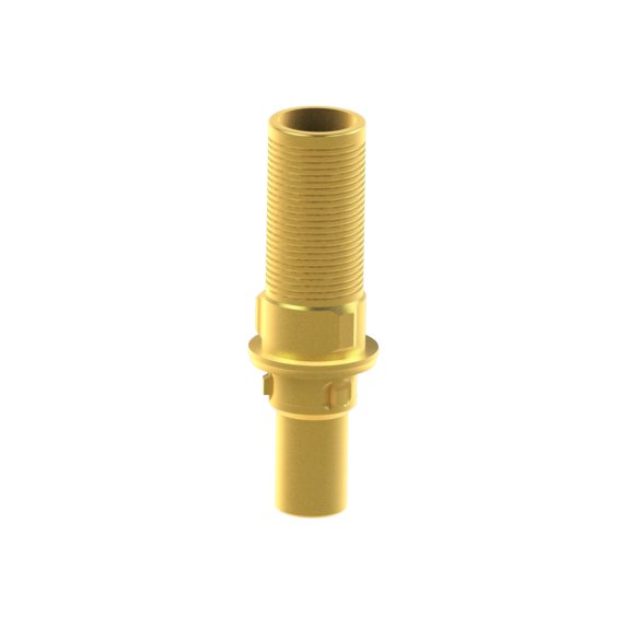 Camlog® Camlog® System compatible Custom Ti-Base