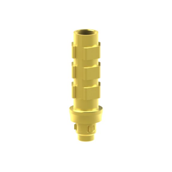 Camlog® Camlog® System compatible Abutment Temporary
