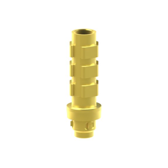 Camlog® Camlog® System compatible Abutment Temporary