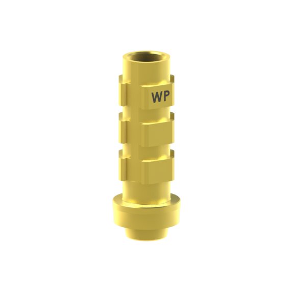 Camlog® Camlog® System compatible Abutment Temporary