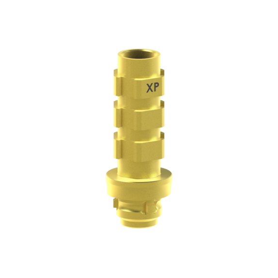 Camlog® Camlog® System compatible Abutment Temporary