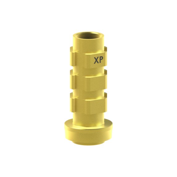 Camlog® Camlog® System compatible Abutment Temporary