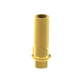 BioHorizons® Tapered Internal® compatible Custom Ti-Base