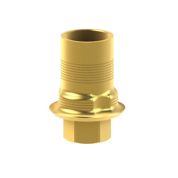 BioHorizons® Tapered Internal® compatible Interface