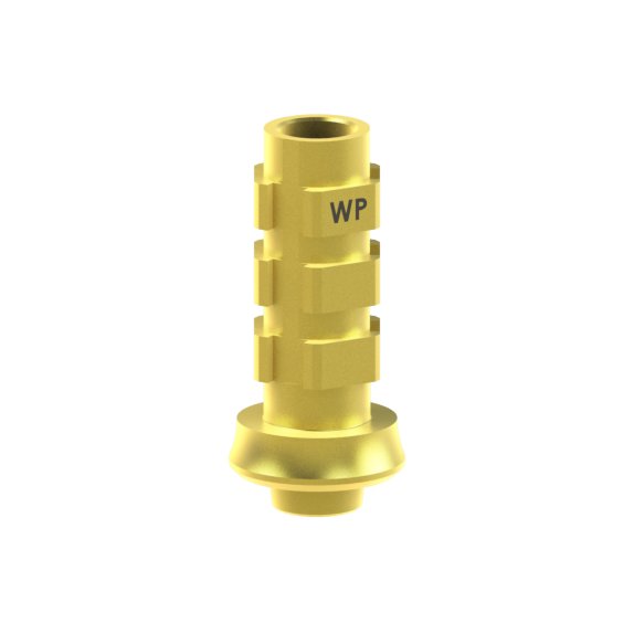 BioHorizons® Tapered Internal® compatible Abutment Temporary