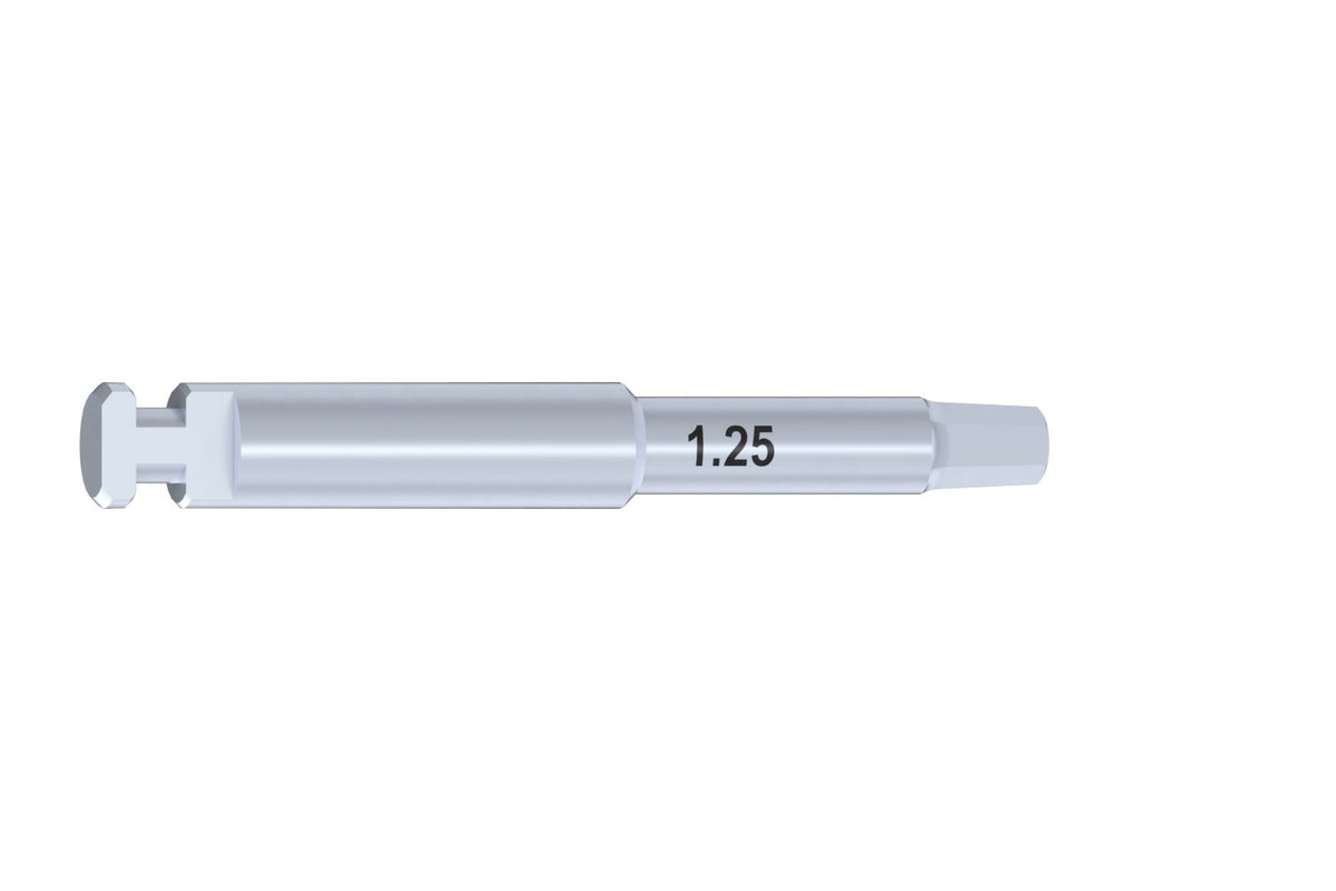 Bego® Semados® SC/RS compatible Screwdriver Tip Hex