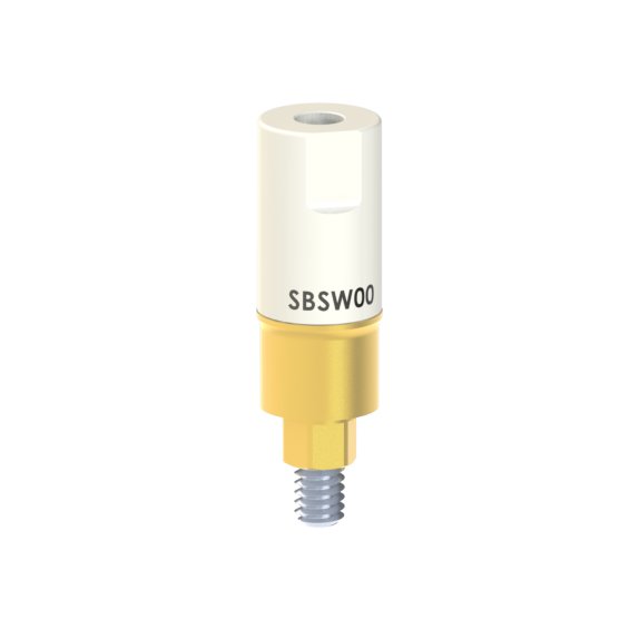 Bego® Semados® SC/RS compatible Scan Body