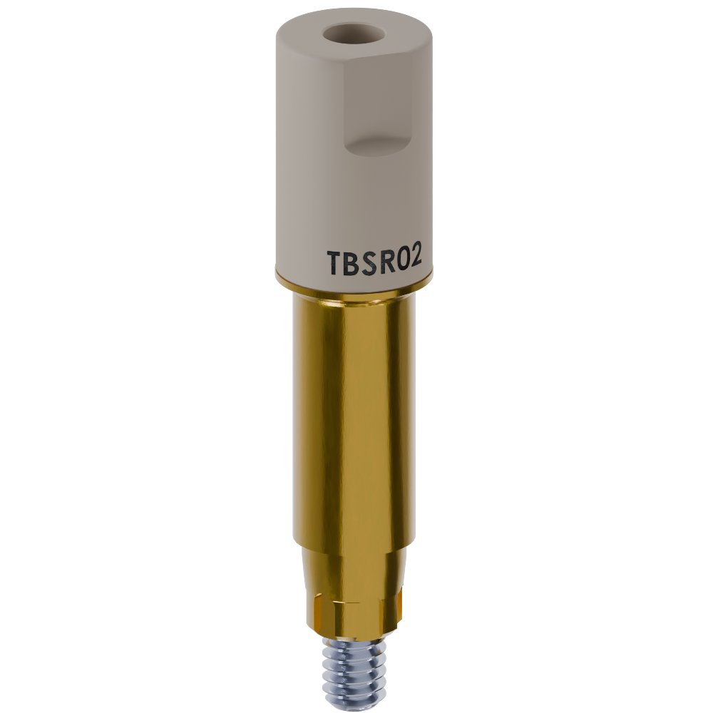 MIS® C1/V3® compatible Scan Body Standard